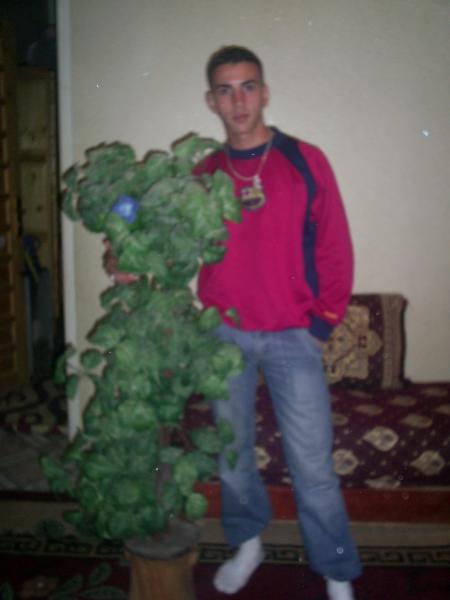 ismail